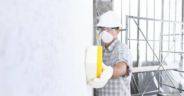 Why You Should Choose Our Mold Remediation Services in Fraser, MI