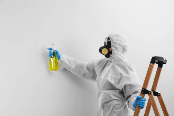 Best Mold Removal for HVAC Installations  in Fraser, MI